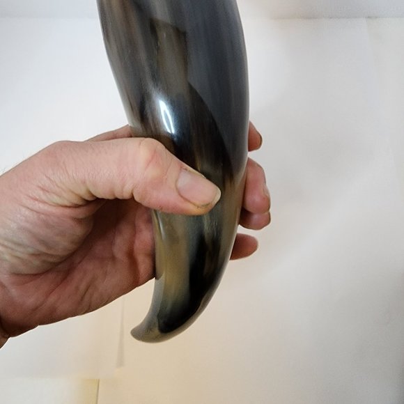 Water Buffalo Horn average 12-15 inch - Picture 11 of 11
